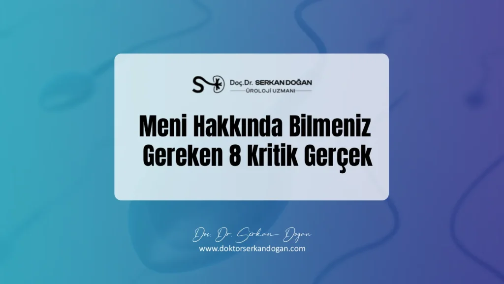 meni-hakkinda-bilmeniz-gereke