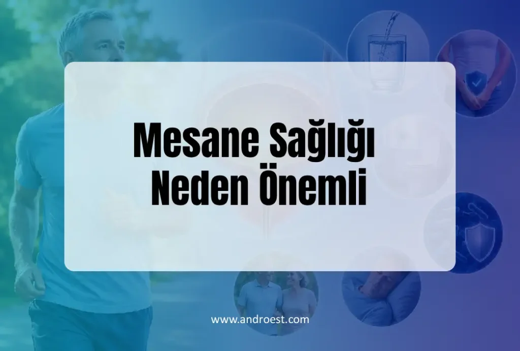 mesane-sagligi-neden-onemli