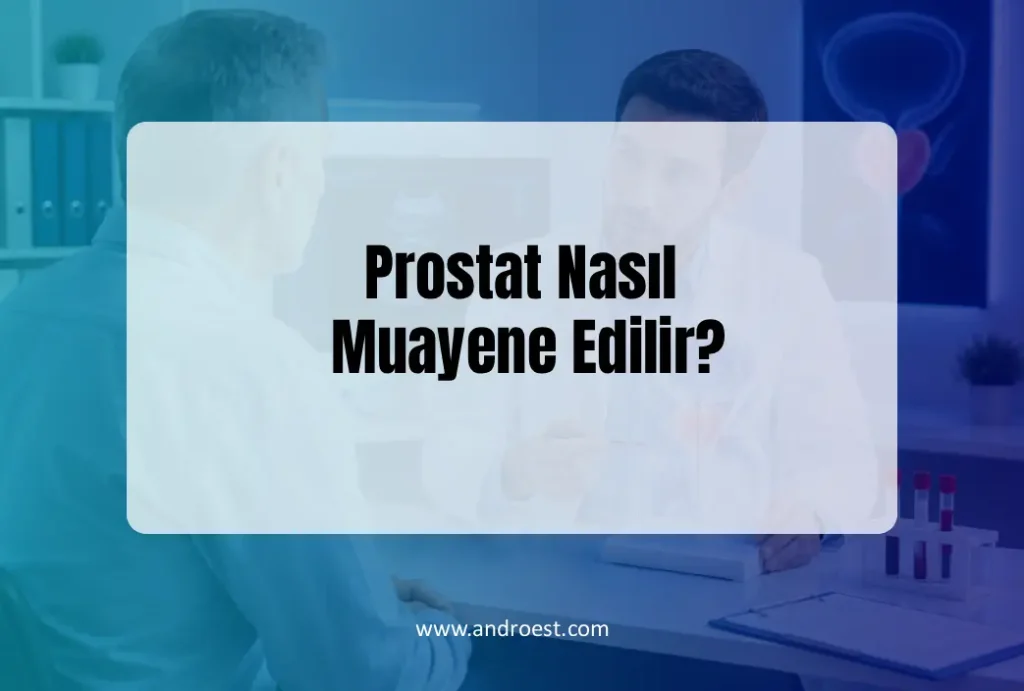 prostat-nasil-muayene-edilir