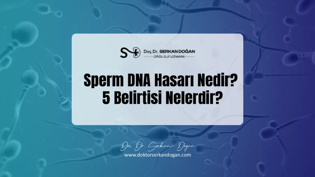 sperm-dna-hasari-nedir-5-belirtisi-nelerdir-