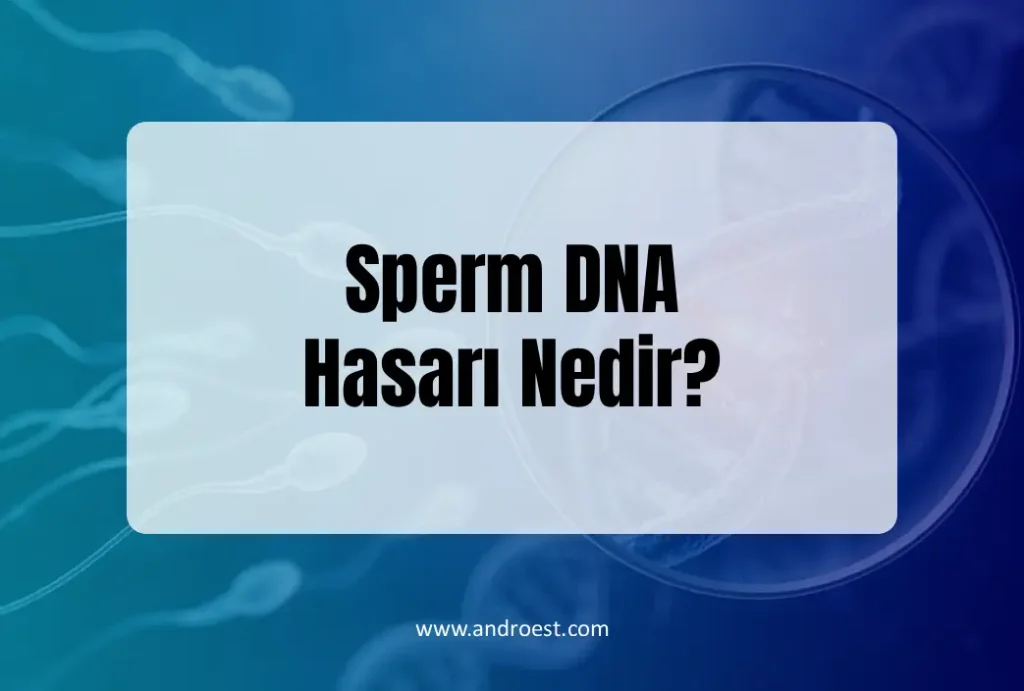 Sperm DNA Hasarı Nedir? 5 Belirtisi Nelerdir?