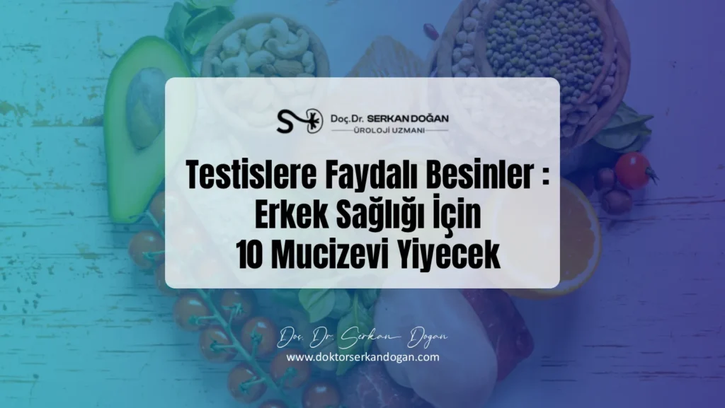 testislere-faydali-besinler-1441x812