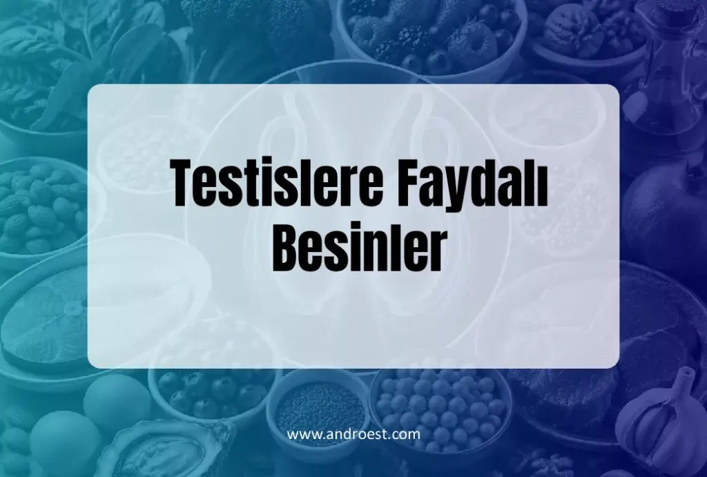 testislere-faydali-besinler