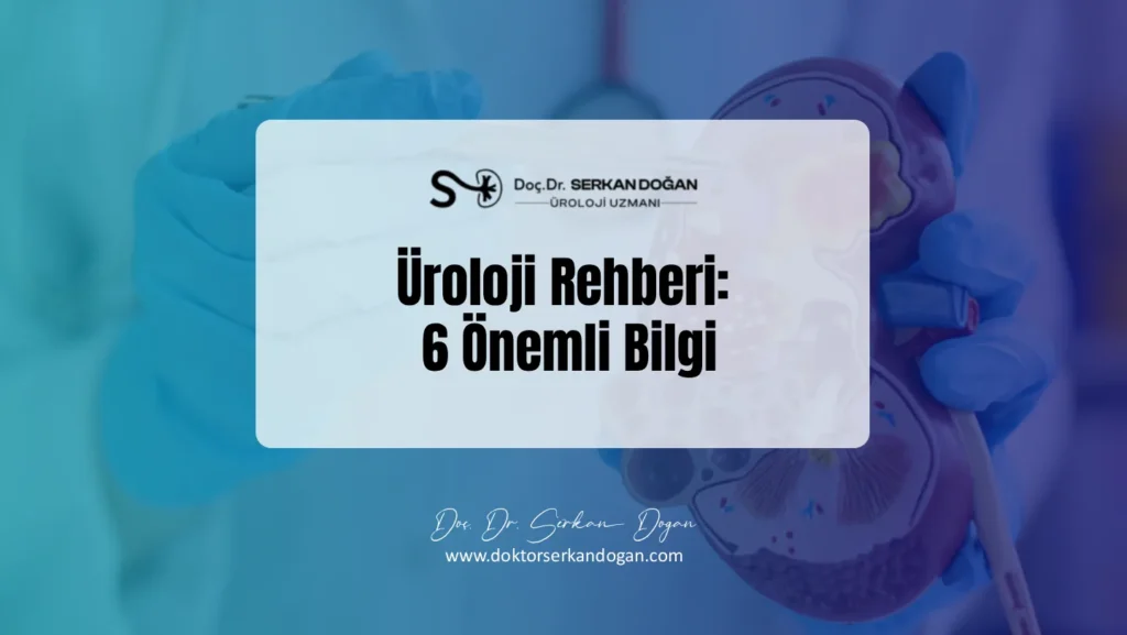 uroloji-rehberi-6-onemli-bilgi-