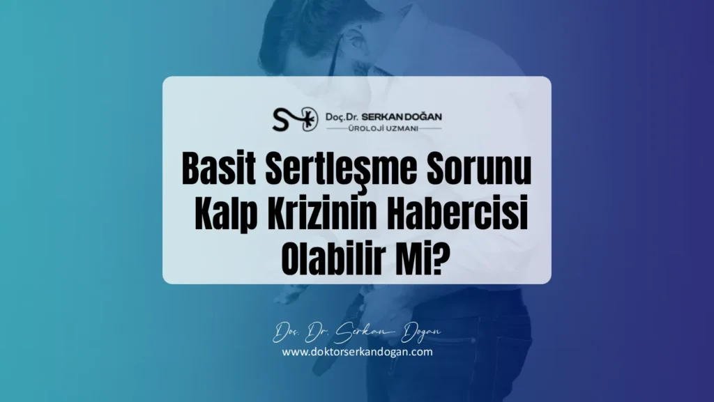 basit-sertlesme-sorunu-