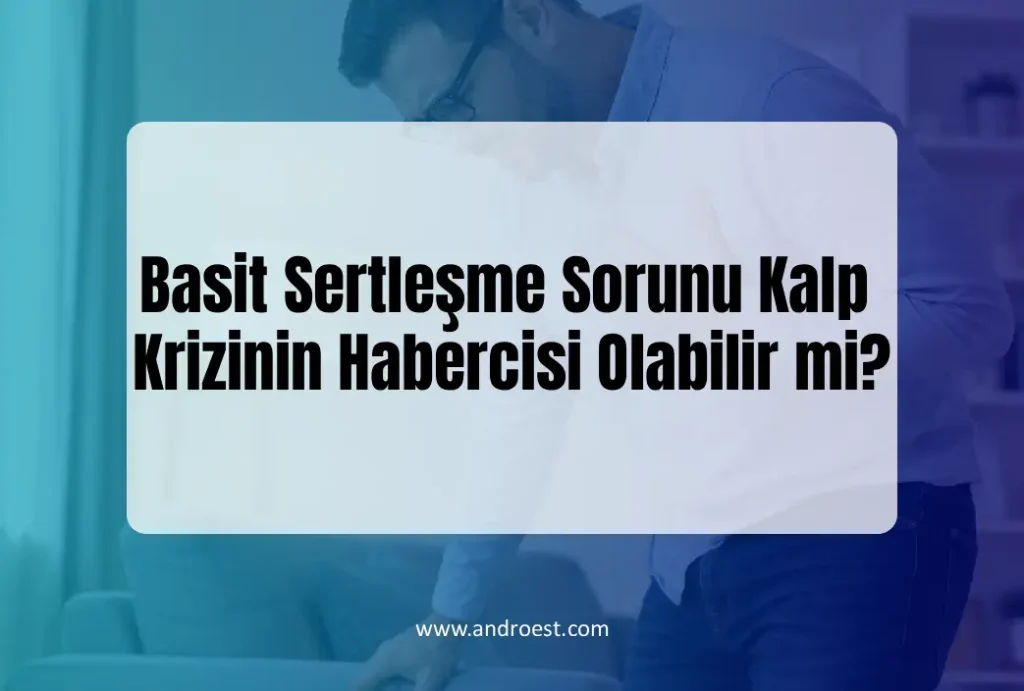 basit-sertlesme-sorunu