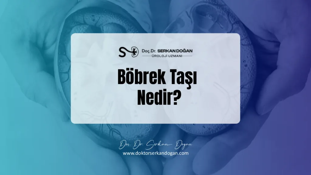 bobrek-tasi-nedir