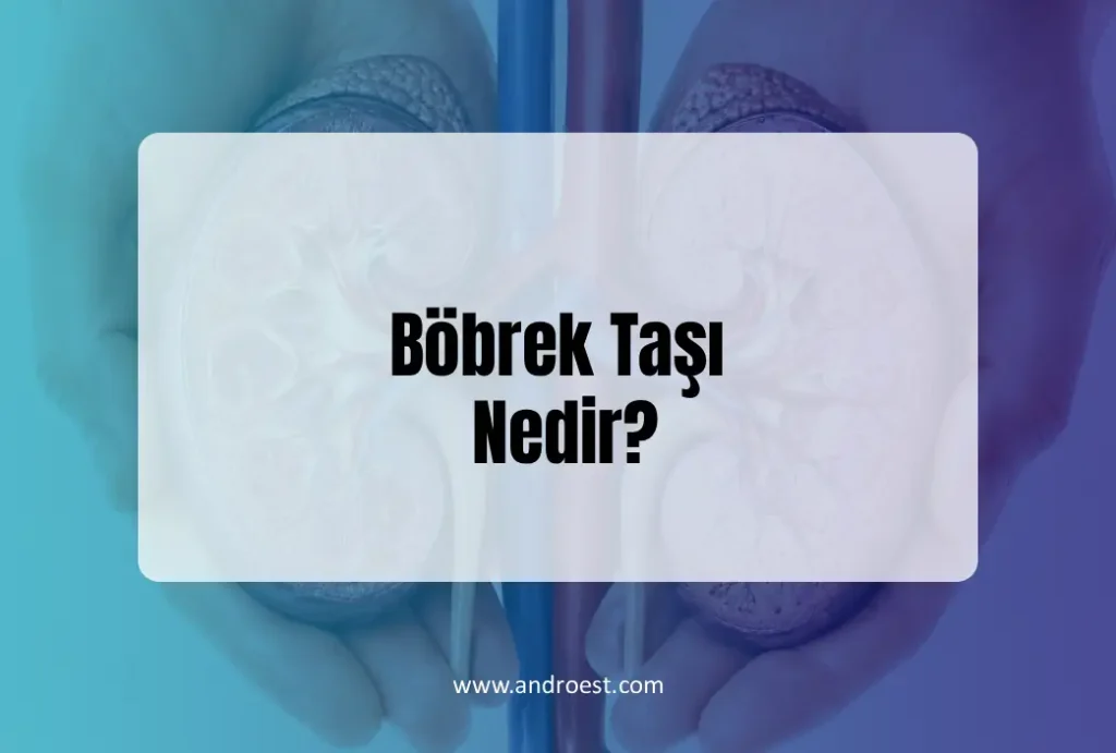 bobrek-tasi-nedir