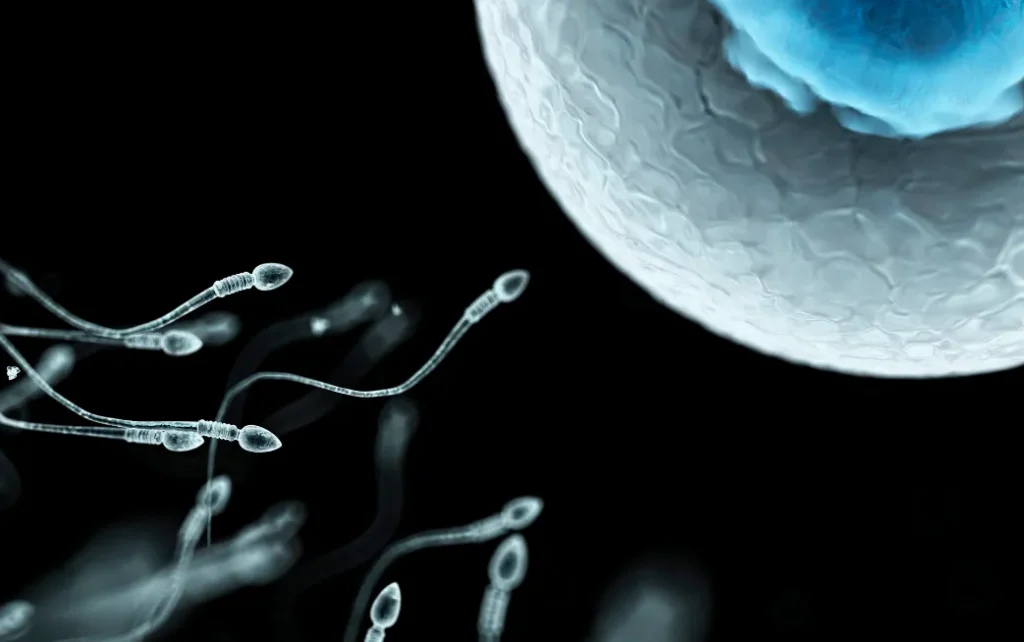 
erkek-kisirligi-neden-artiyor