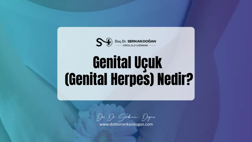 genital-ucuk-nedir