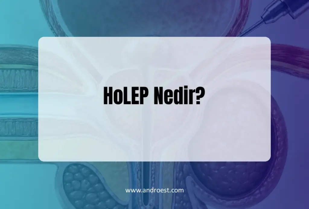 holep-nedir