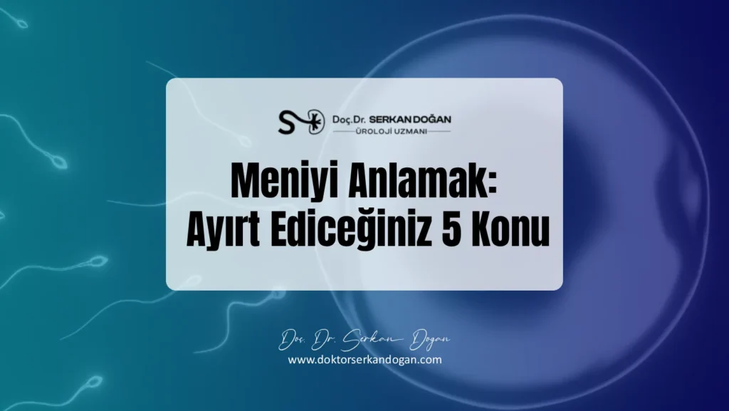 meniyi-anlamak-ayirt-ediceginiz-5-konu-