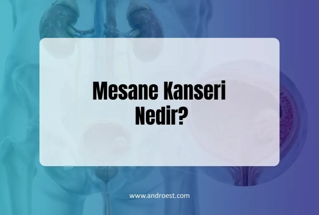 mesane-kanseri-nedir