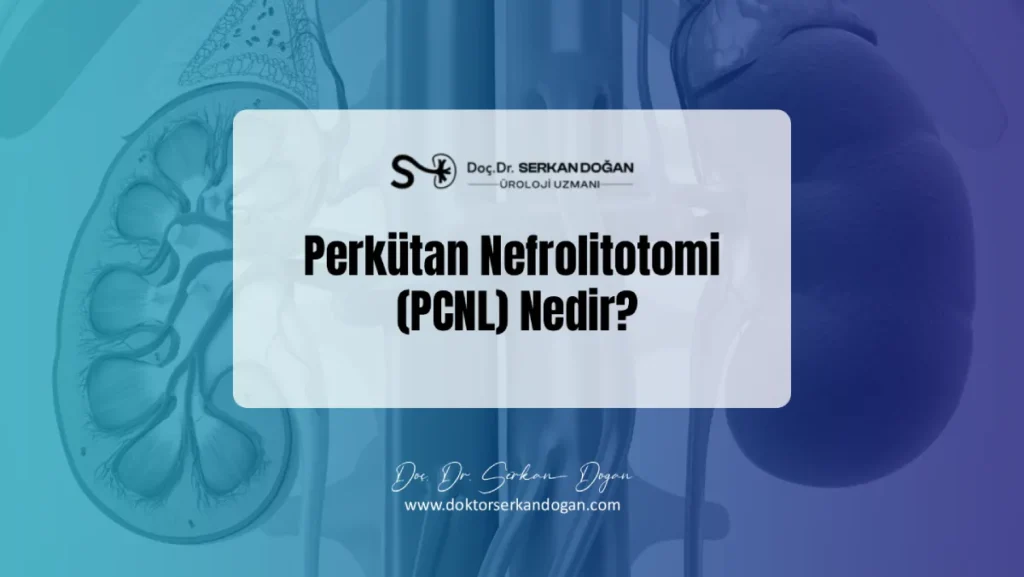 perkutan-nefrolitotomi-nedir-