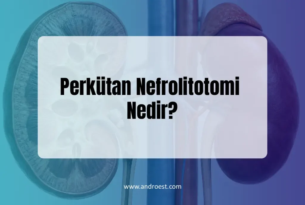perkutan-nefrolitotomi-nedir