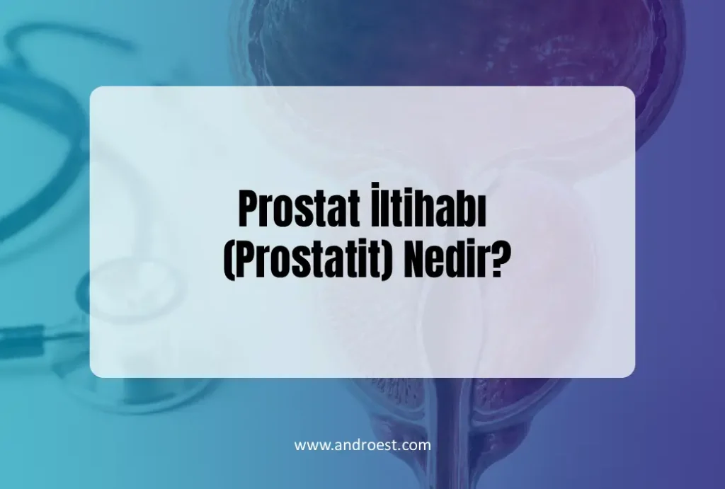prostit-nedir