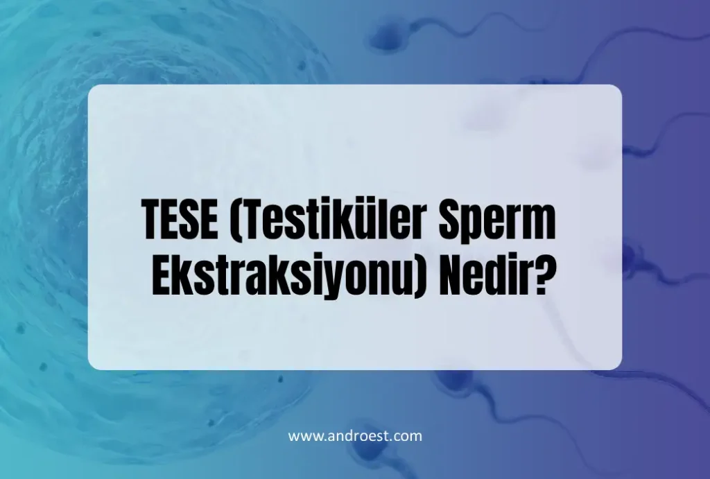 tese-nedir