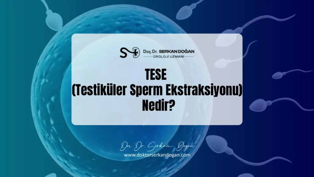 tese-testikuler-sperm-ekstraksiyonu-nedir