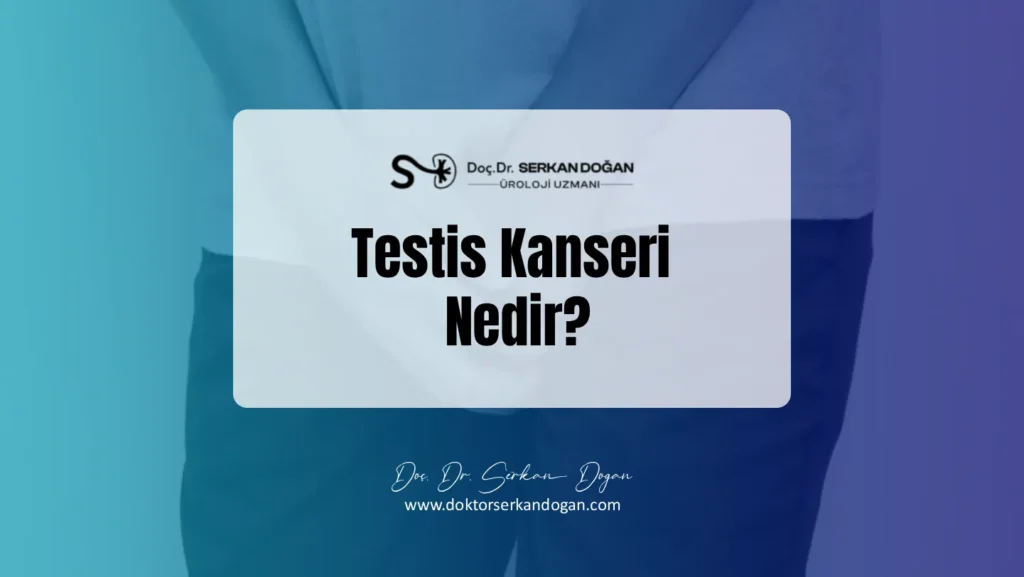 testis-kanseri-nedir-1441x812