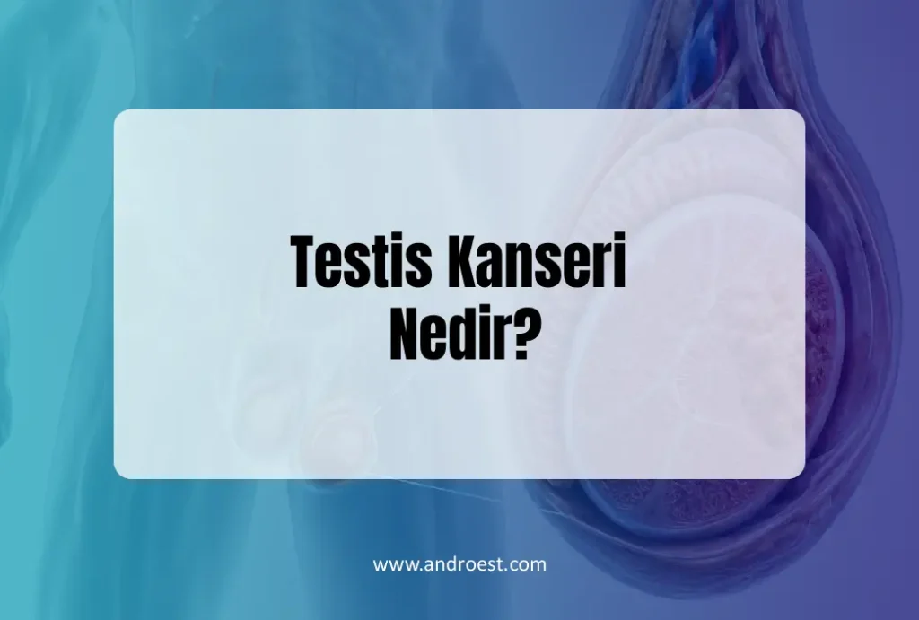 testis-kanseri-nedir