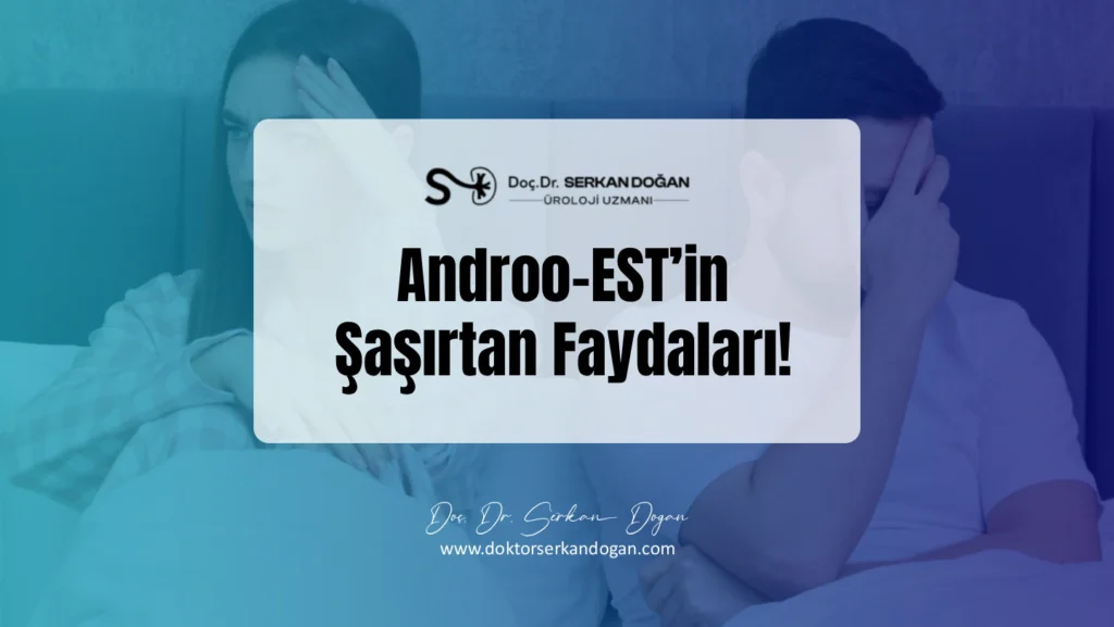 androo-est-sasirtan-faydalari-1441x812-1.webp