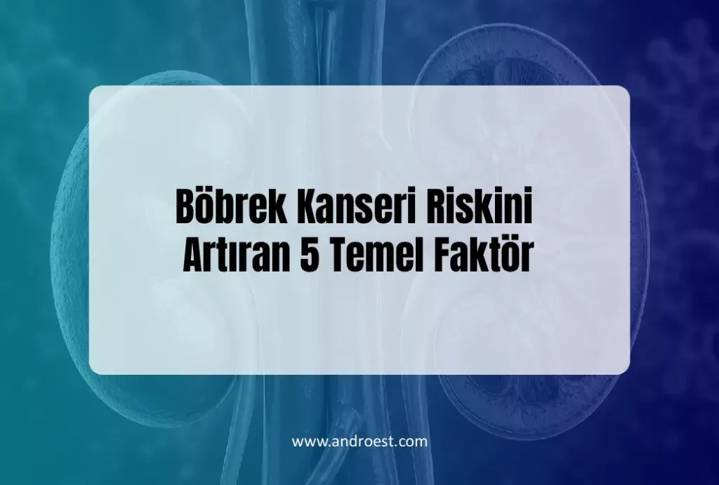bobrek-kanseri-riskini-arttiran-5-faktor