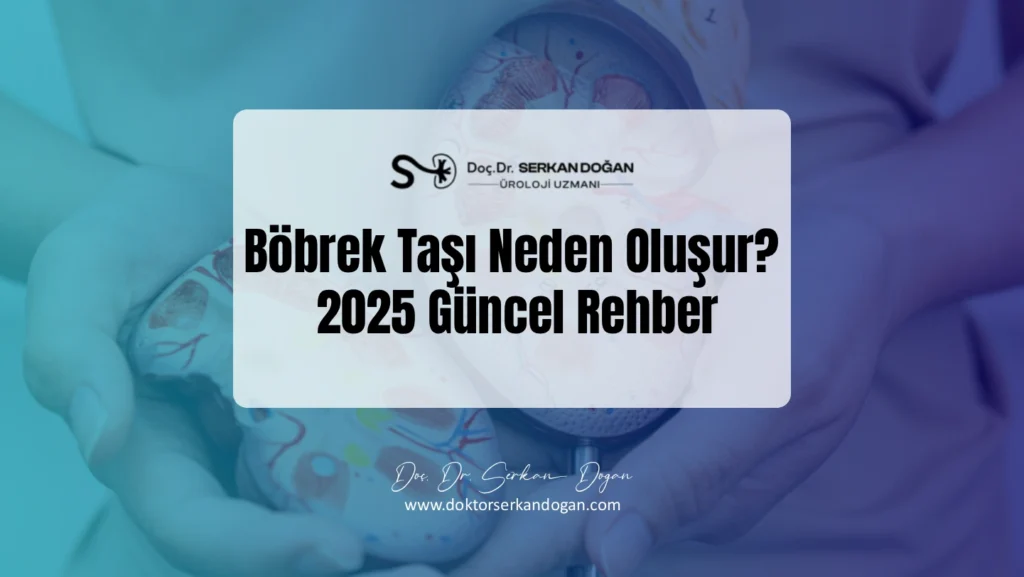 bobrek-tasi-neden-olusur-1441x812-1.webp