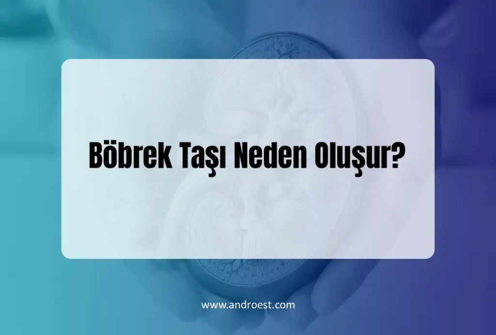 bobrek-tasi-neden-olusur