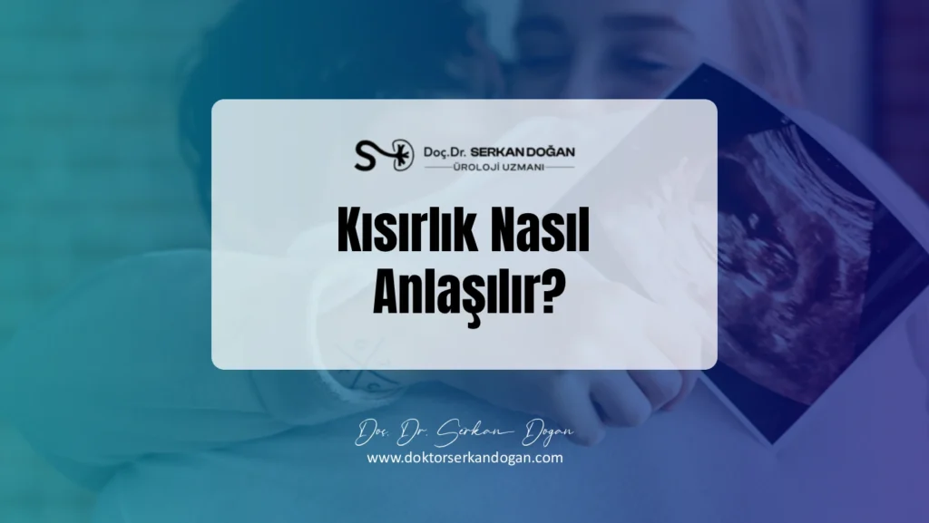 kisirlik-nasil-anlasilir-1441x812-1.webp