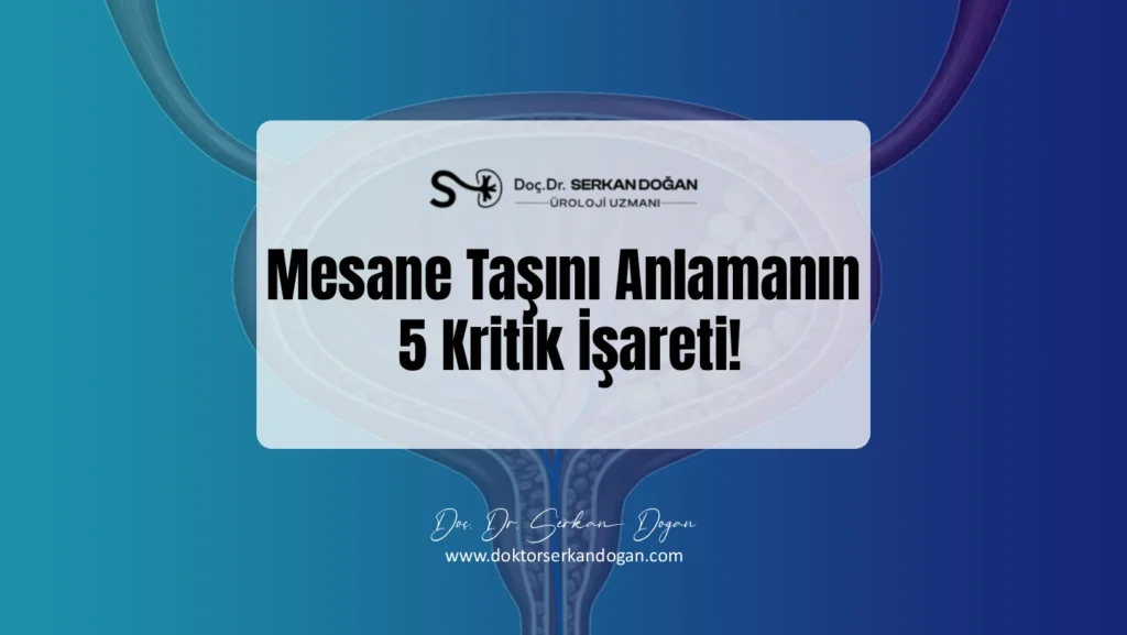 mesane-tasini-anlamanin-5-kritik-isareti-1441x812-1.webp