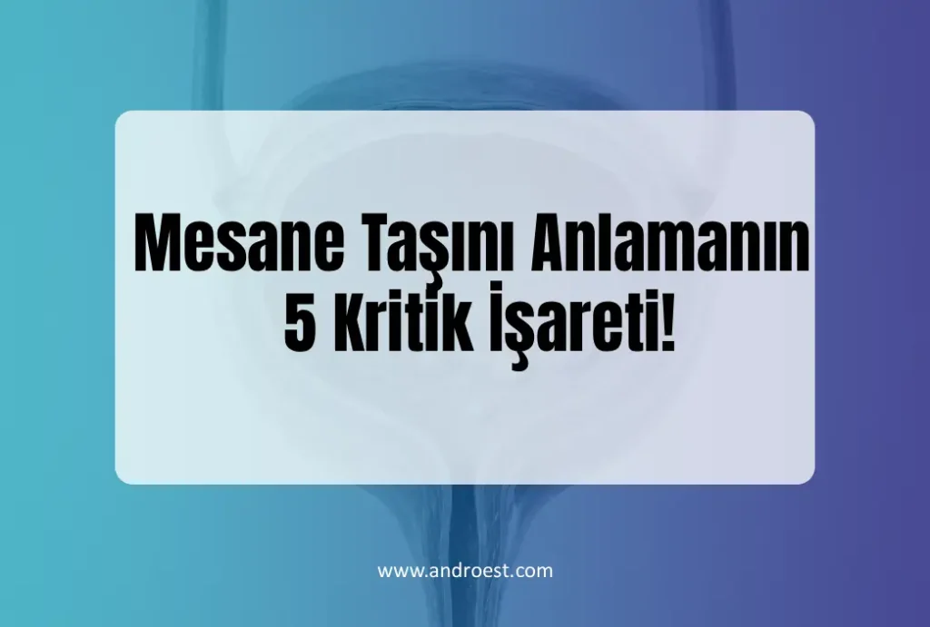 mesane-tasini-anlamanin-5-kritik-isareti