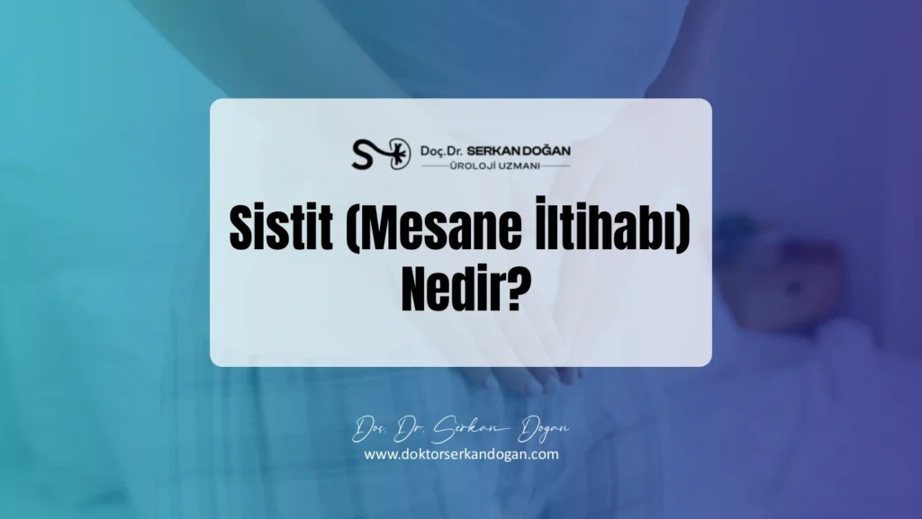 sistit-nedir-1441x812-1.webp