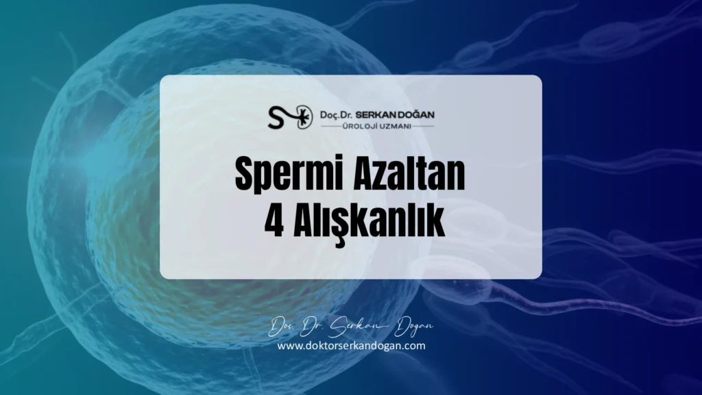 spermi-azaltan-4-aliskanlik-1441x812-1.webp