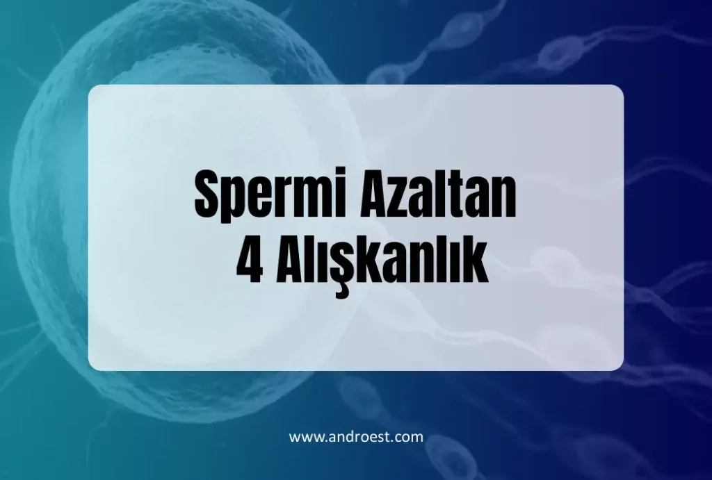 spermi-azaltan-4-aliskanlik