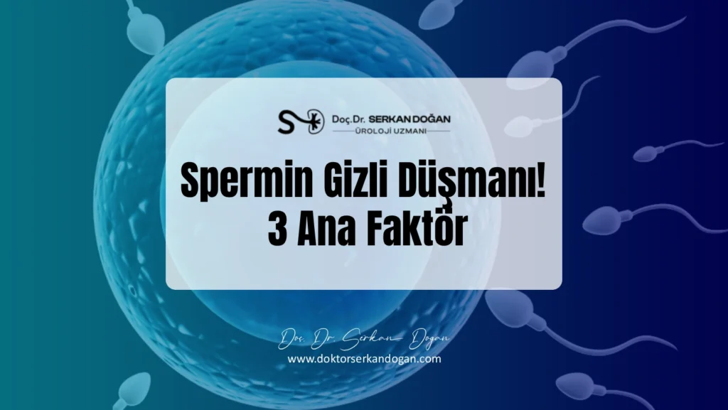 spermin-gizli-dusmani-1441x812-1.webp