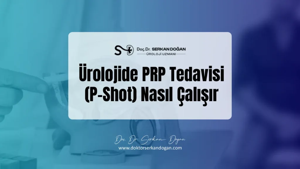 Ürolojide PRP Tedavisi (P-Shot) Nasıl Çalışır?