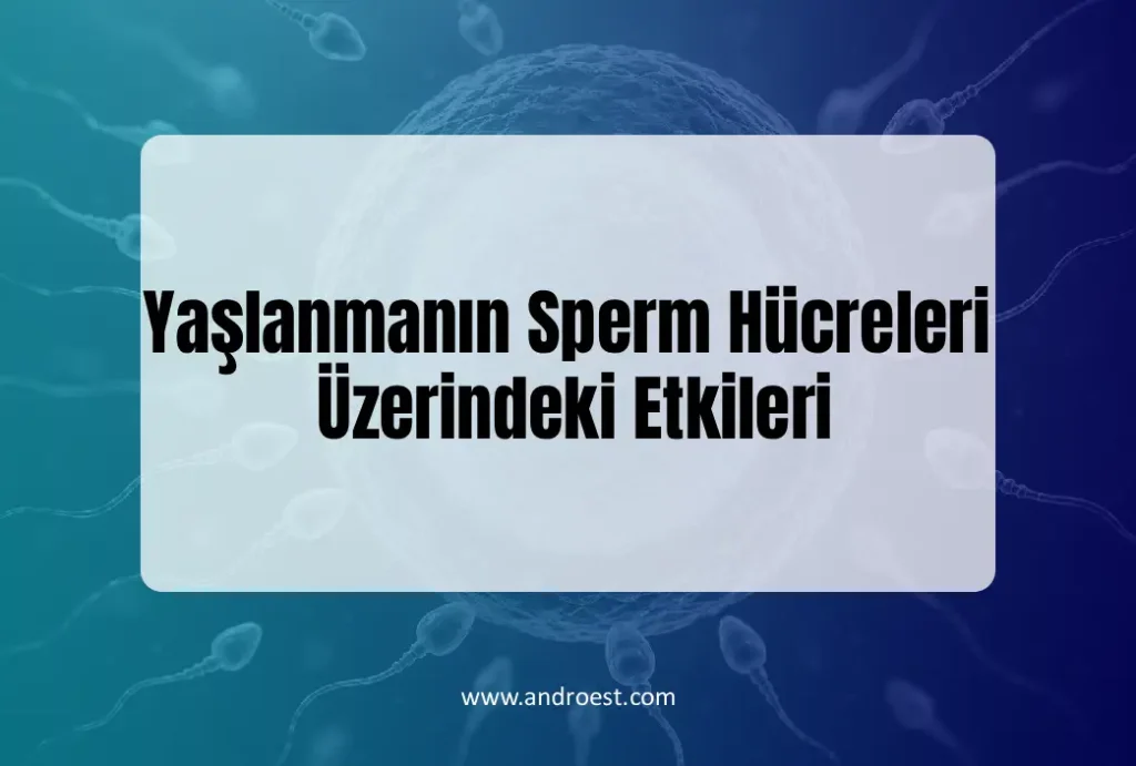 yaslanmanin-sperm-hucreleri-uzerindeki-etki