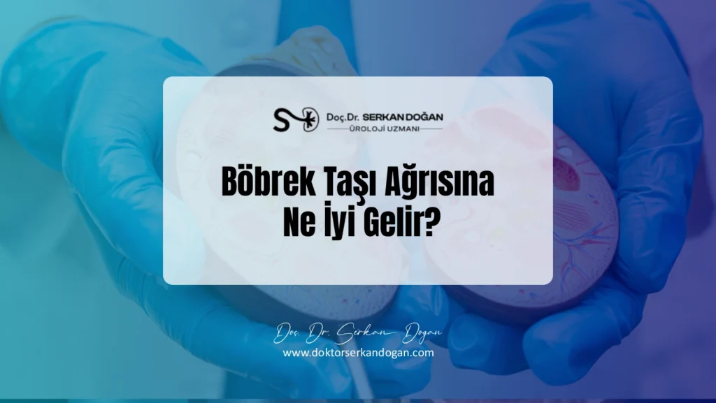 bobrek-tasi-agrisina-ne-iyi-gelir.webp