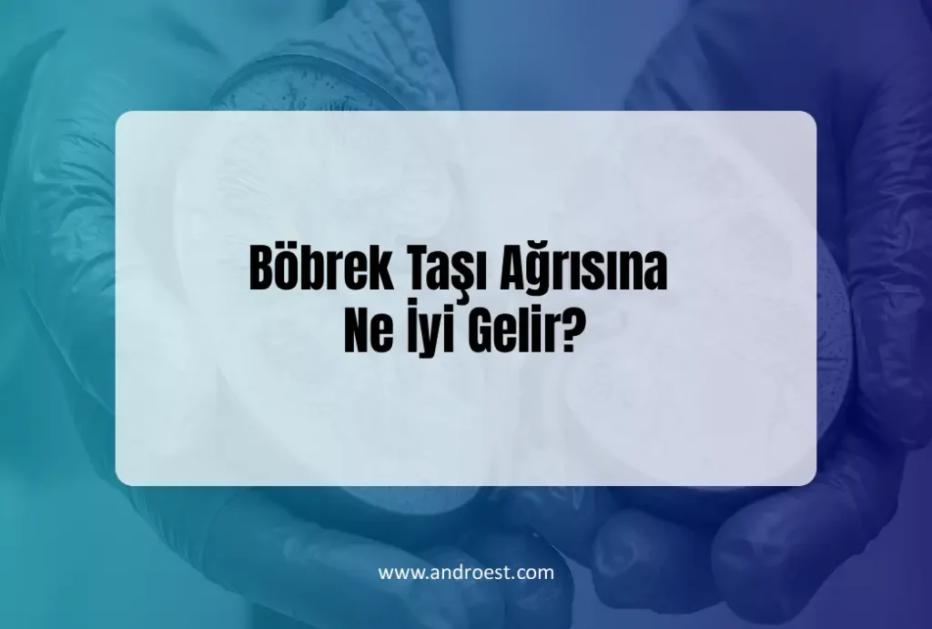 bobrek-tasi-agrisina-ne-iyi-gelir