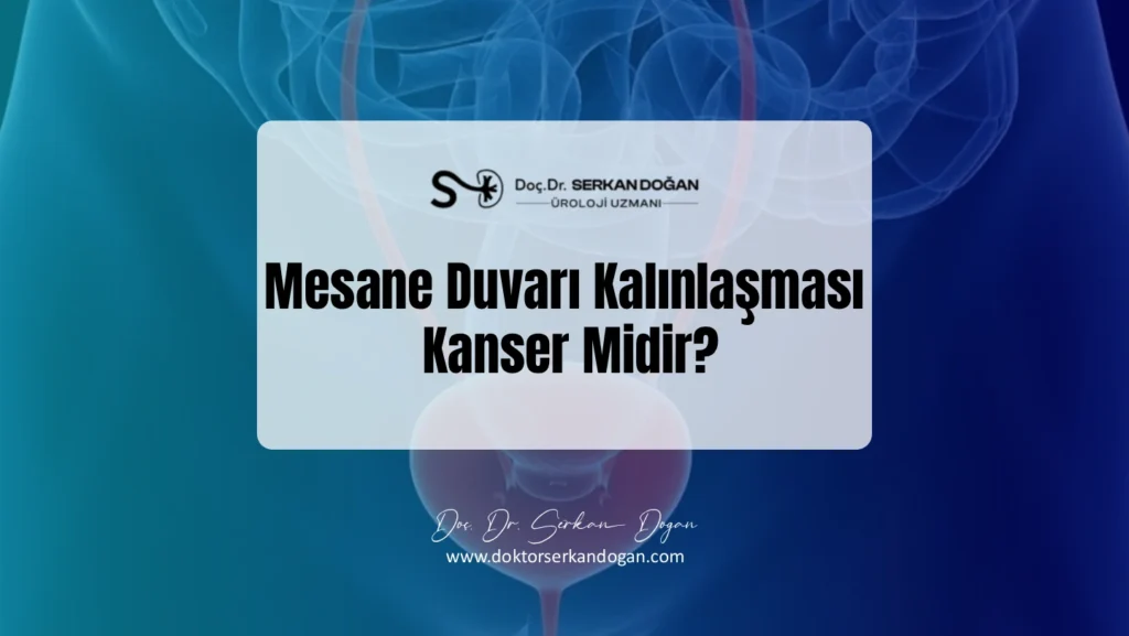mesane-duvari-kalinlasmasi-1441x812-1.webp