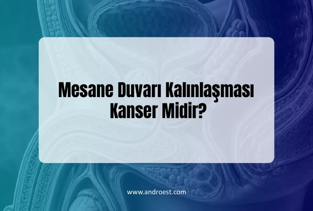 mesane-duvari-kalinlasmasi
