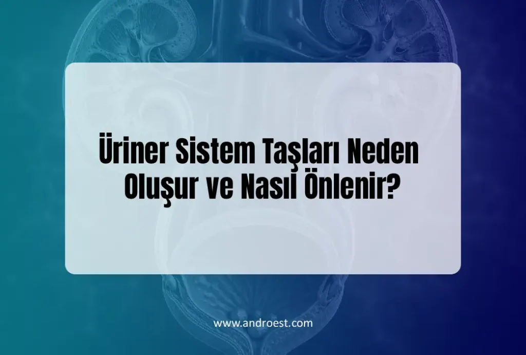 uriner-sistem-taslari-neden-olusur