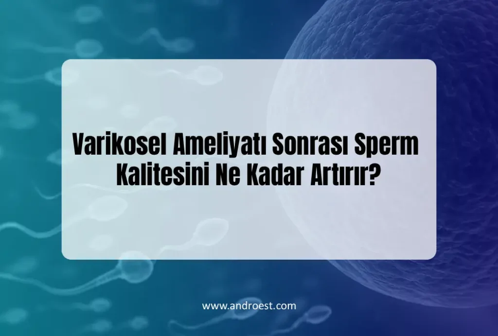 varikosel-ameliyati-sonrasi-sperm-kalitesi