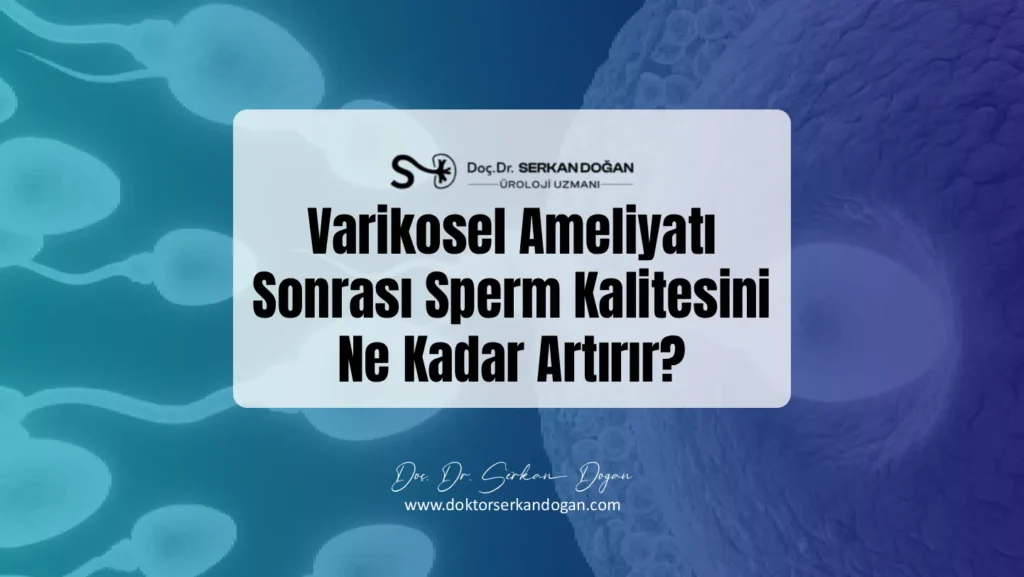 Varikosel Ameliyatı Sonrası Sperm Kalitesini Ne Kadar Artırır?