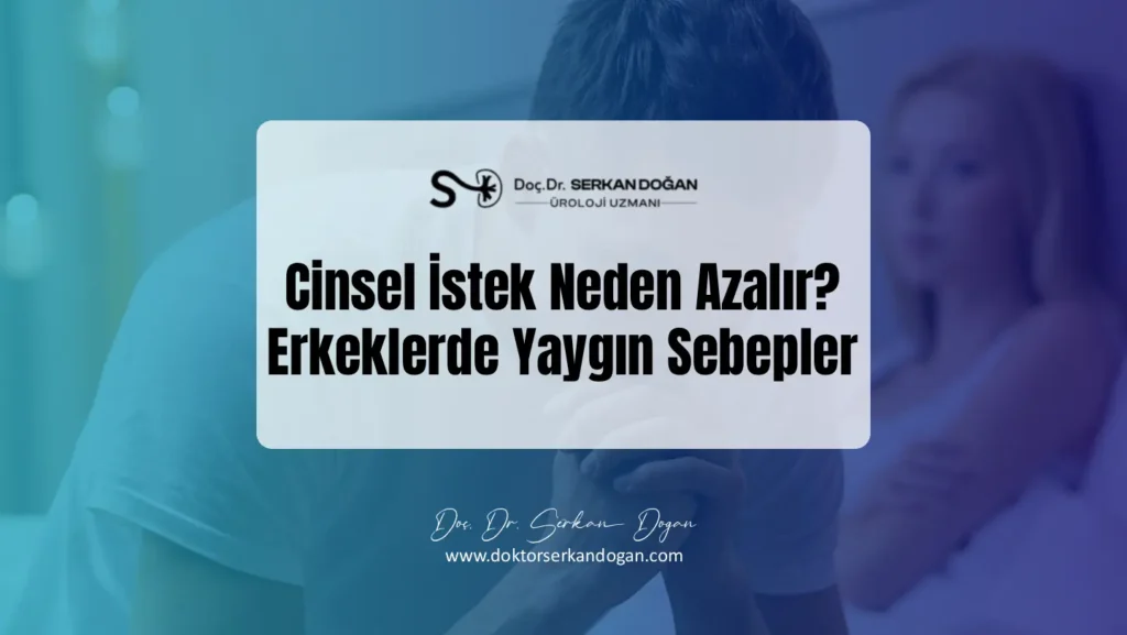 cinsel-istek-neden-azalir-1441x812-1.webp