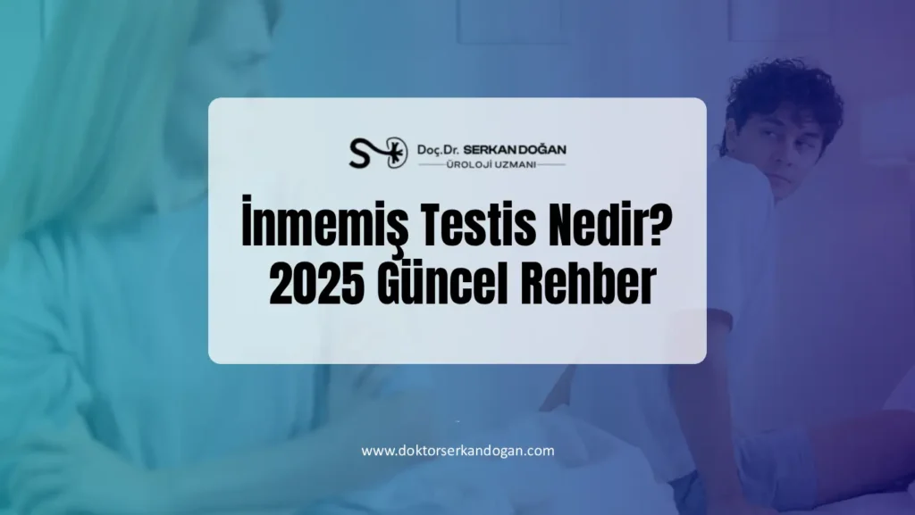 inmemis-testis-1441x812-1.webp