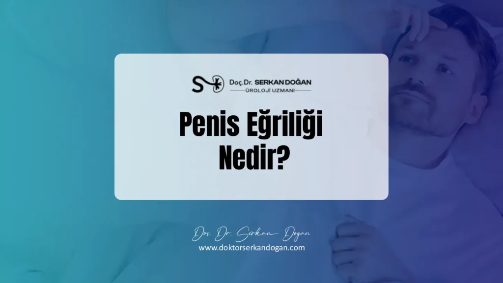 penis-egriligi-nedir-1441x812-1.webp