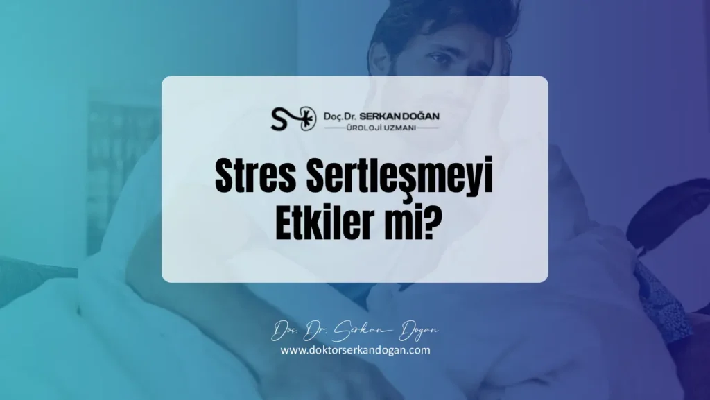 stres-sertlesmeyi-etkiler-mi-1441x812-1.webp
