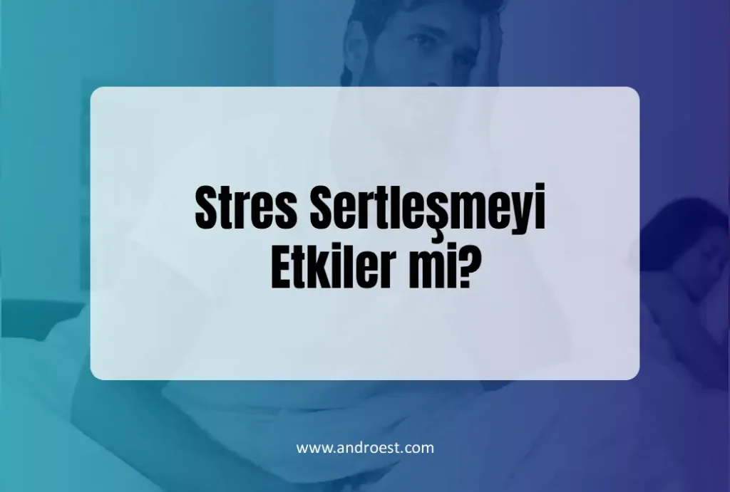 stres-sertlesmeyi-etkiler-mi