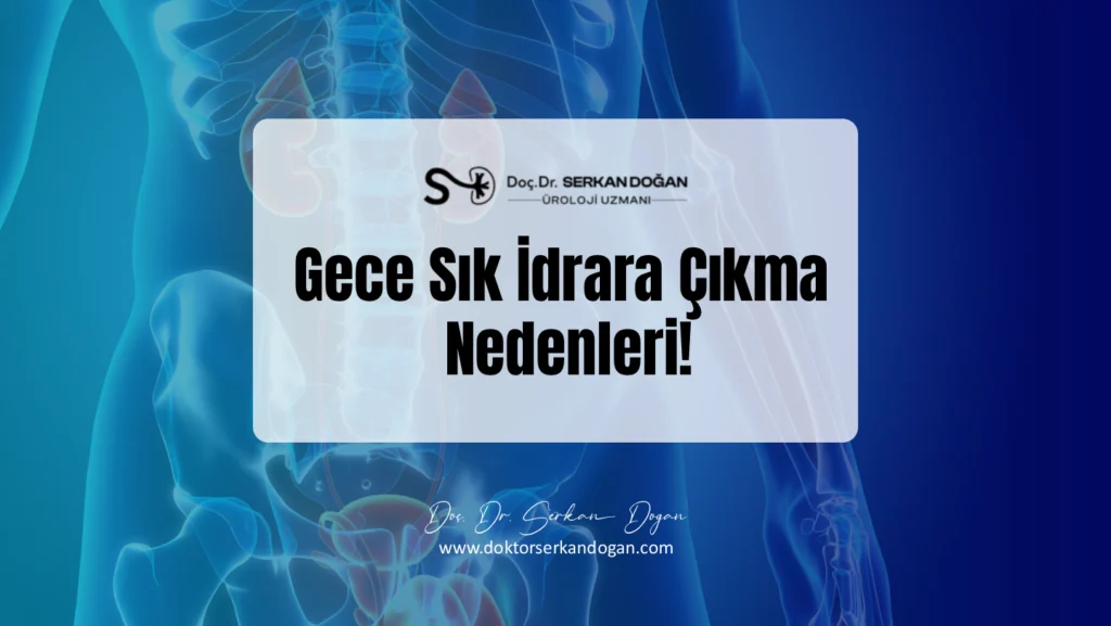 gece-sik-idrara-cikma-nedenleri-1441x812-1.webp